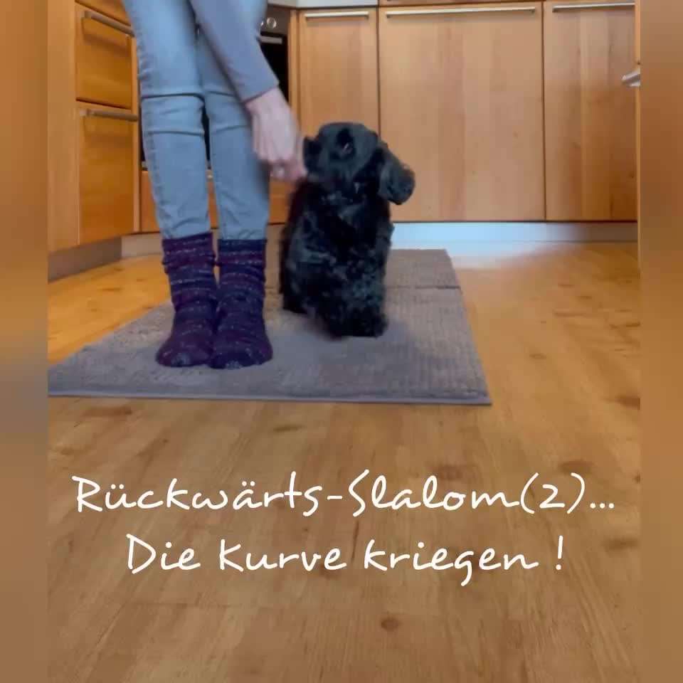 Trick Challenge Nr. 28: Slalom rückwärts-Beitrag-Bild