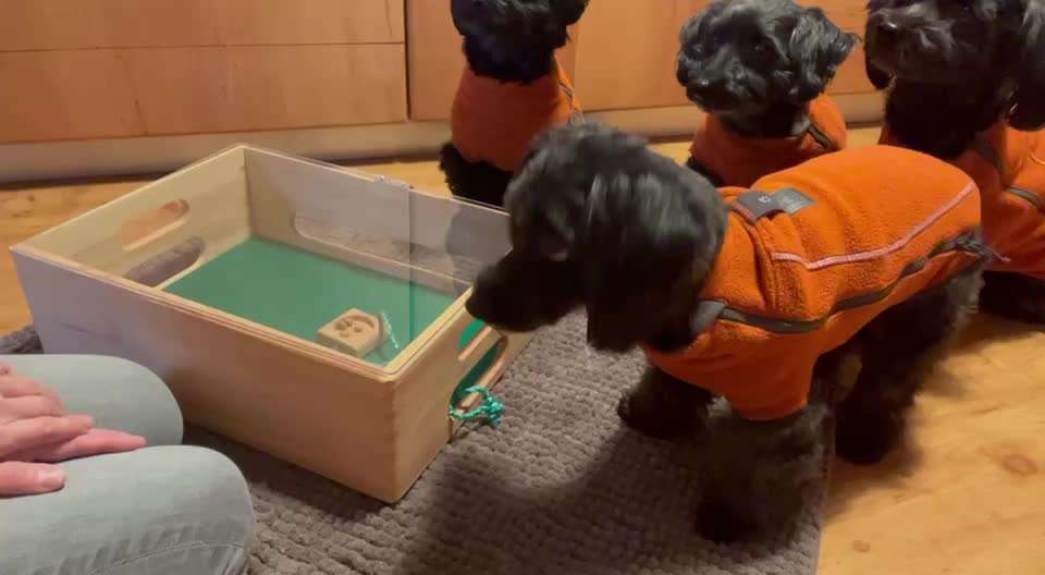 Trick Challenge NR 22 "Ziehen"-Beitrag-Bild