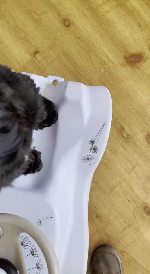 Trick- Challenge Nr. 31 ,Schieben‘-Beitrag-Bild