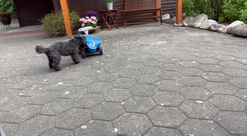 TRICK CHALLENGE NUMMER 30 " ZURÜCK "-Beitrag-Bild