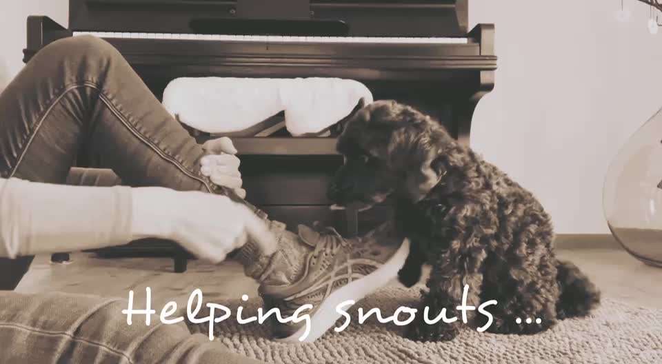 Trick Challenge Nr 27: Socken ausziehen-Beitrag-Bild