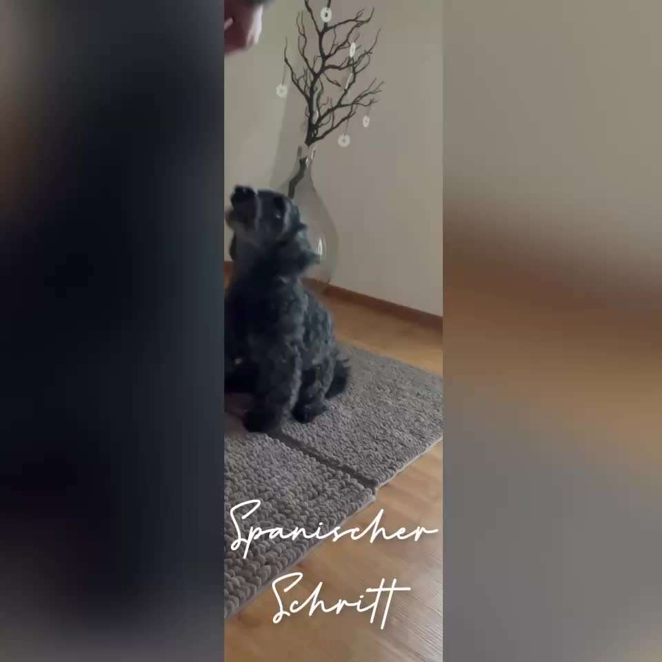 Trickchallenge Nr. 25 "Spanischer Schritt"-Beitrag-Bild