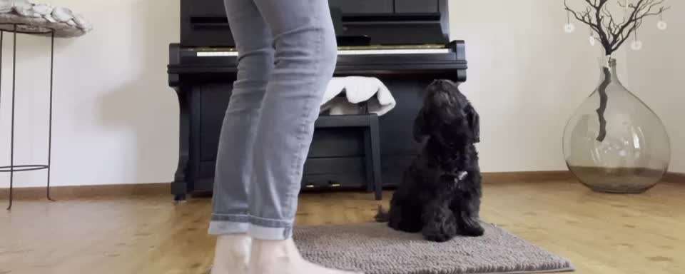 Trick Challenge Nr. 29 ,,TWIST"-Beitrag-Bild