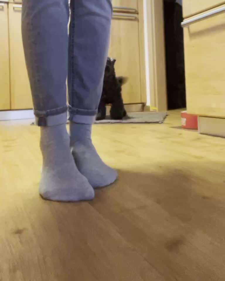 37. Trick-Challenge: Pinguin-Lauf-Beitrag-Bild