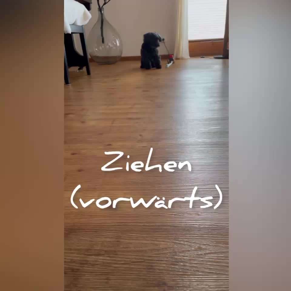 Trick Challenge NR 22 "Ziehen"-Beitrag-Bild