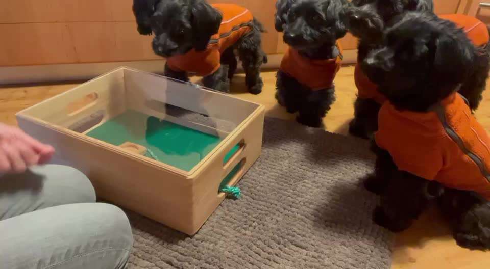 Trick Challenge NR 22 "Ziehen"-Beitrag-Bild