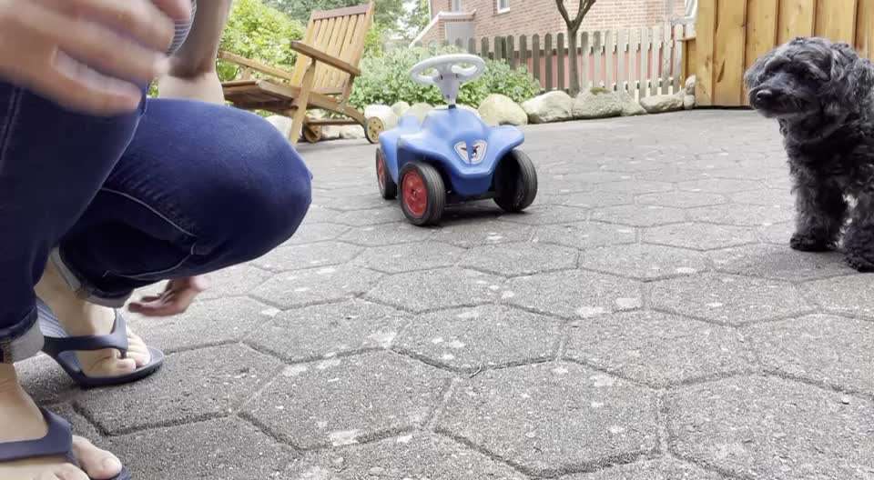 TRICK CHALLENGE NUMMER 30 " ZURÜCK "-Beitrag-Bild