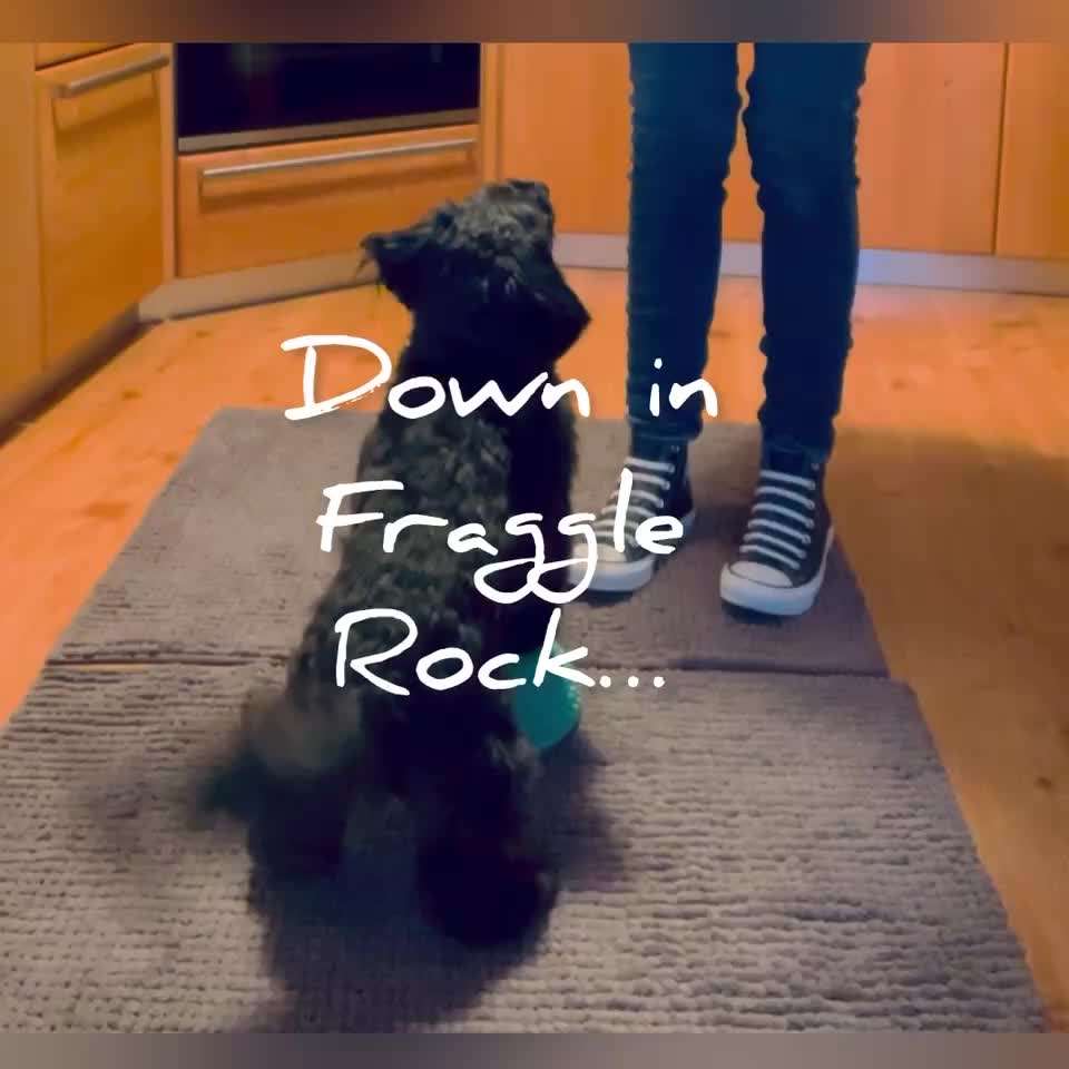 Trick Challenge 24 ,,Elefantentrick"-Beitrag-Bild