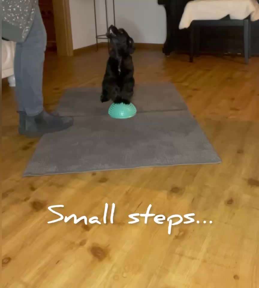 Trick Challenge 24 ,,Elefantentrick"-Beitrag-Bild