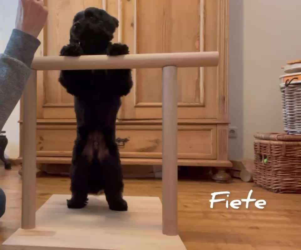 Trick Challenge Nr. 18-Beitrag-Bild