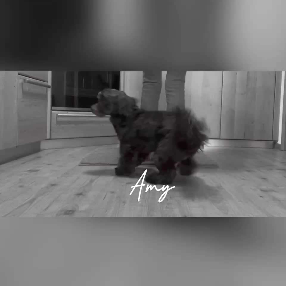 Trick Challenge Nr. 29 ,,TWIST"-Beitrag-Bild