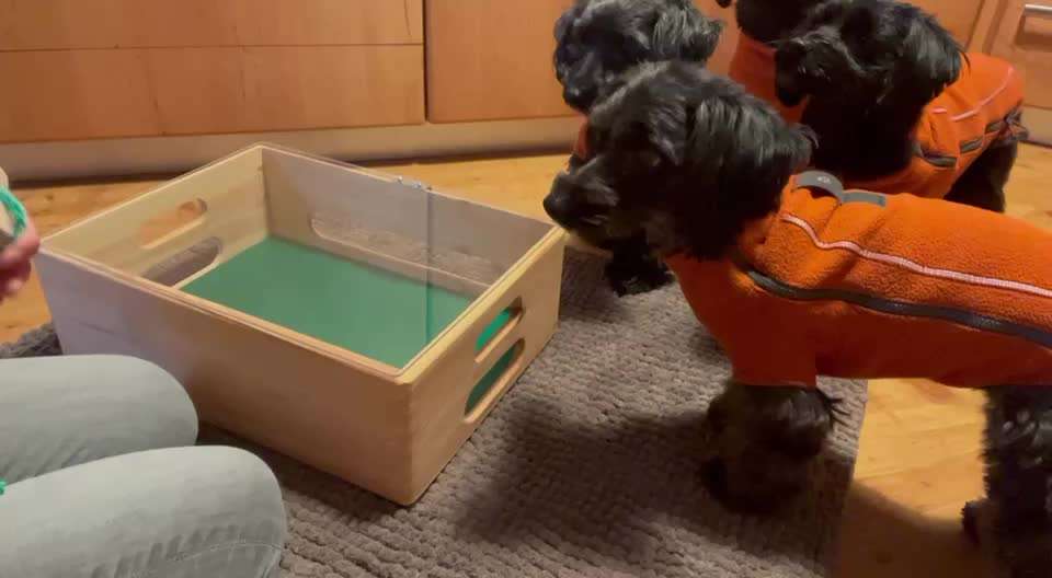 Trick Challenge NR 22 "Ziehen"-Beitrag-Bild