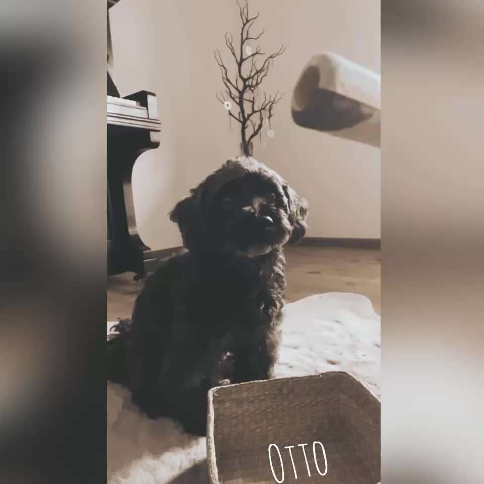 36. Trick-Challenge: Aufräumen!-Beitrag-Bild