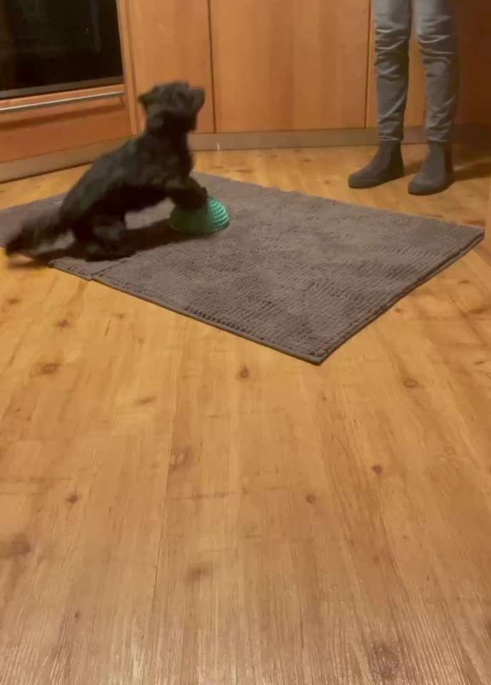 Trick Challenge 24 ,,Elefantentrick"-Beitrag-Bild