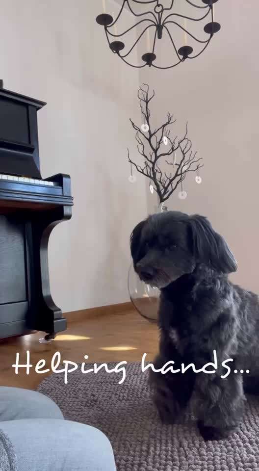 Trick Challenge Nr 27: Socken ausziehen-Beitrag-Bild