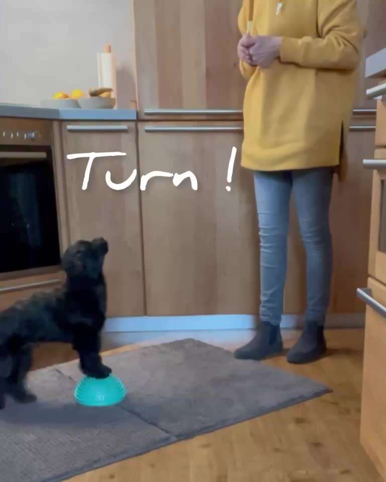 Trick Challenge 24 ,,Elefantentrick"-Beitrag-Bild