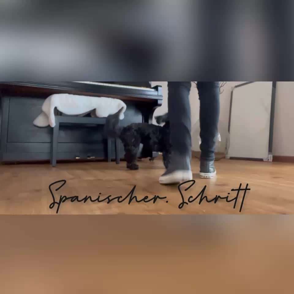 Trickchallenge Nr. 25 "Spanischer Schritt"-Beitrag-Bild