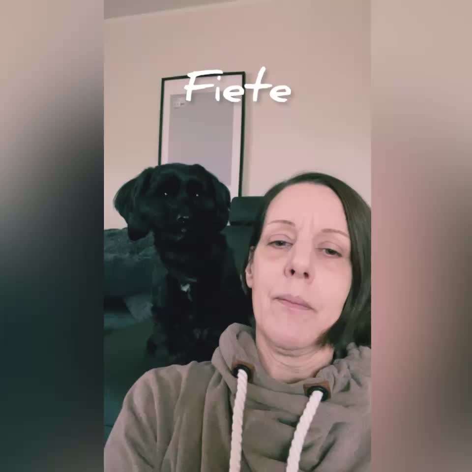 Trick Challenge Nr. 20   "Selfietrick"-Beitrag-Bild