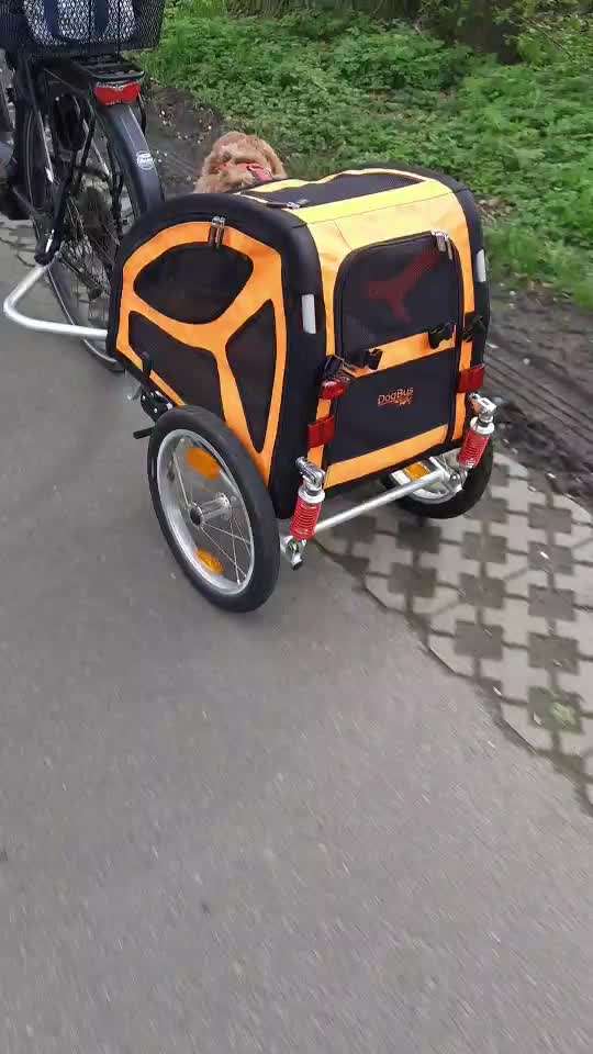 Fahrradanhänger (Dogbus), der auch bei leichten Hunden federt...-Beitrag-Bild