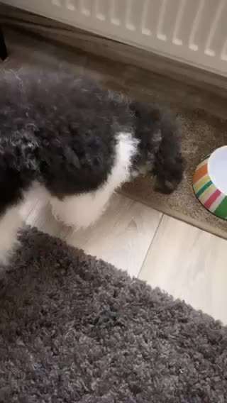 Immer wieder so 🧐-Beitrag-Bild