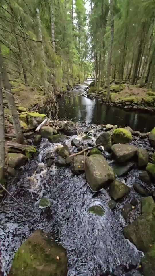 aktuelles Foto Gruppe Wandern und Outdoor