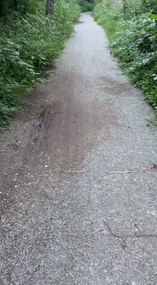 aktuelles Foto Gruppe Ausflugsziele mit Hund