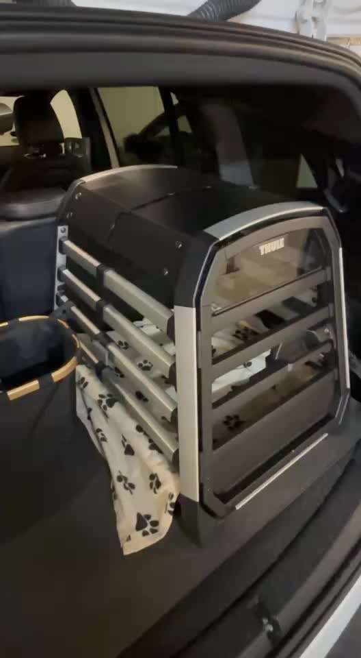 Hund im Kofferraum sichern-Beitrag-Bild