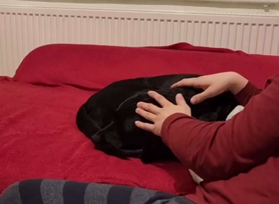 Was hat euch heute gefreut?-Beitrag-Bild