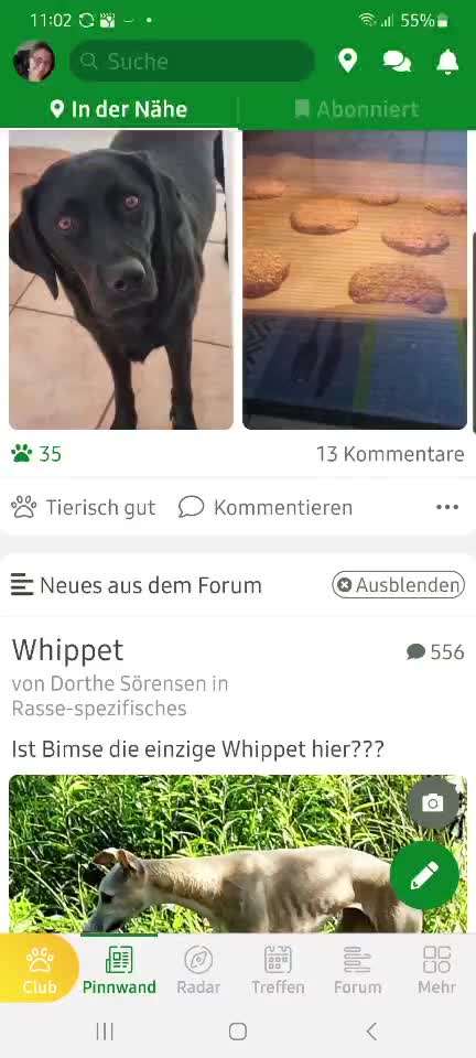 Läufig - Windel?-Beitrag-Bild