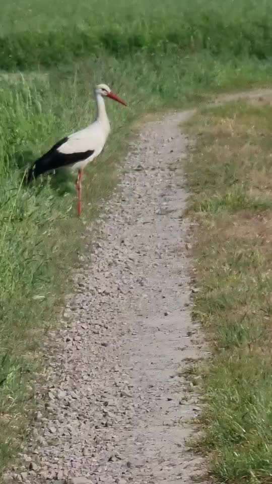 Was hat euch heute gefreut?-Beitrag-Bild