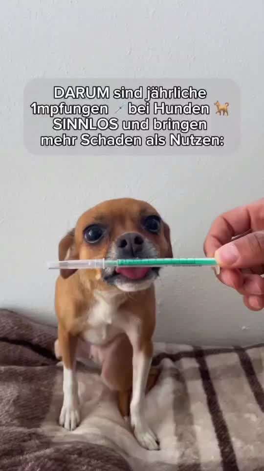 Impfen ja oder nein?-Beitrag-Bild