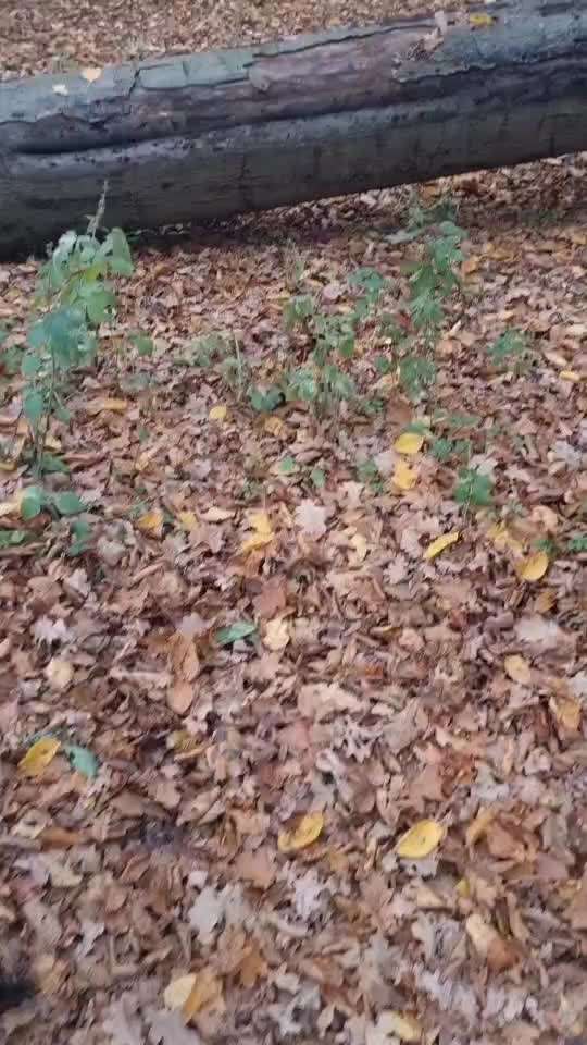 Zeitlupe-Beitrag-Bild