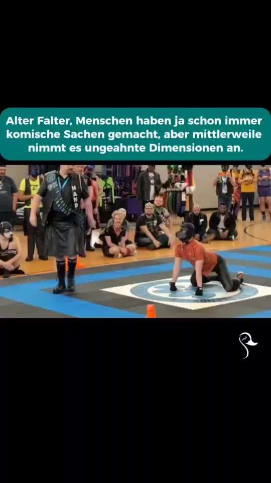 Hobby Dogging?!-Beitrag-Bild