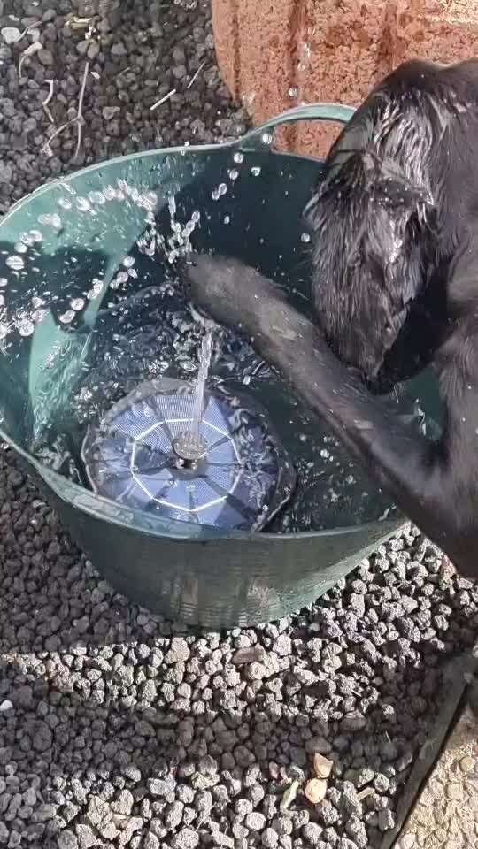 Was hat euch heute gefreut?-Beitrag-Bild