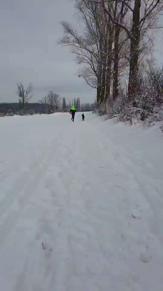 Zeigt hier Euer liebstes Video Eurer Hunde-Beitrag-Bild