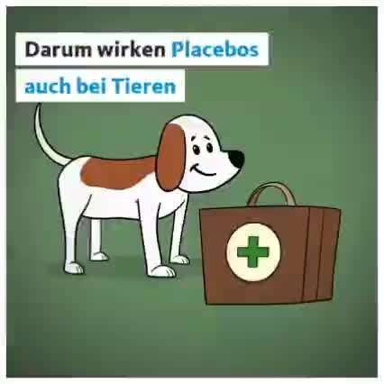 Homöopathie -Arznei oder bloß Zucker für die Seele?-Beitrag-Bild