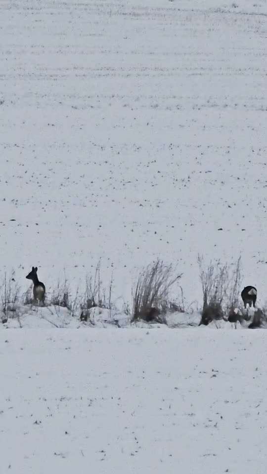 Was hat euch heute gefreut?-Beitrag-Bild