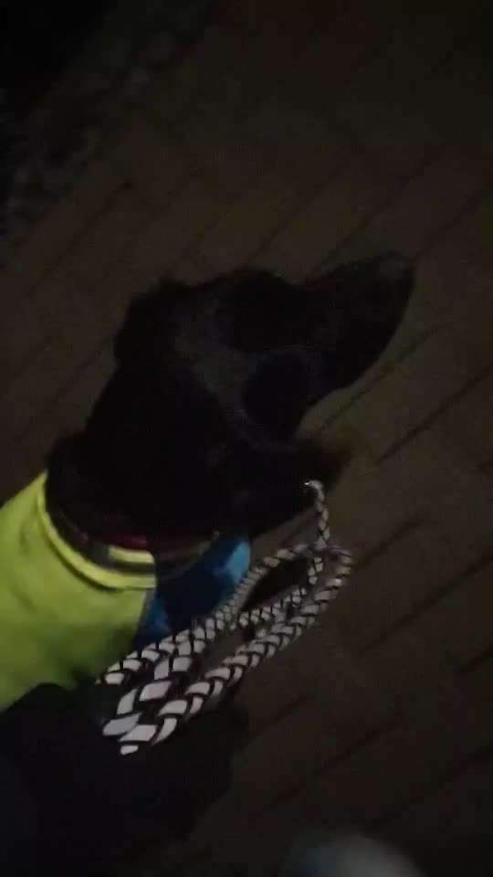 Beleuchtung im Herbst?-Beitrag-Bild