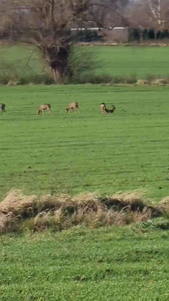 Was hat euch heute gefreut?-Beitrag-Bild