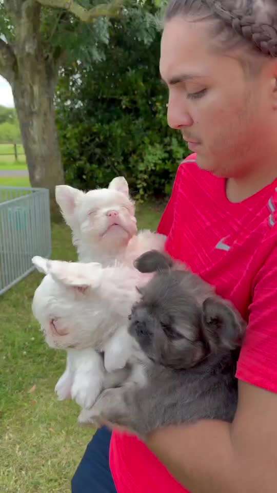 Was hat euch heute genervt?-Beitrag-Bild