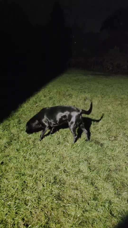 Was hat euch heute gefreut?-Beitrag-Bild