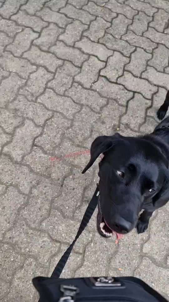 Was hat euch heute gefreut?-Beitrag-Bild