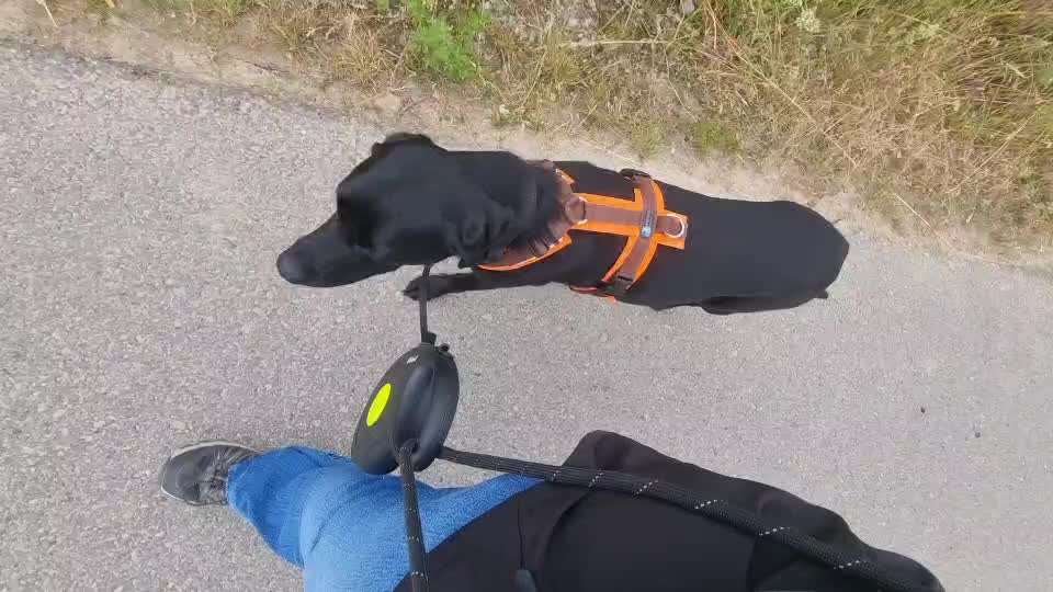 Flexileinen-Beitrag-Bild