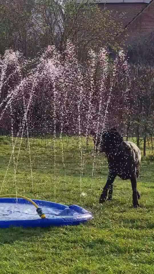 Was hat euch heute genervt?-Beitrag-Bild