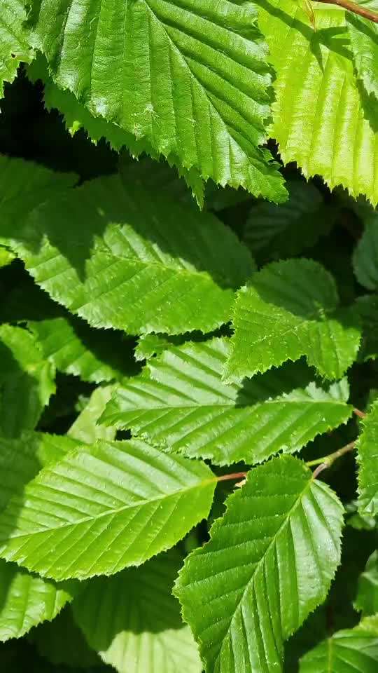 Was hat euch heute gefreut?-Beitrag-Bild