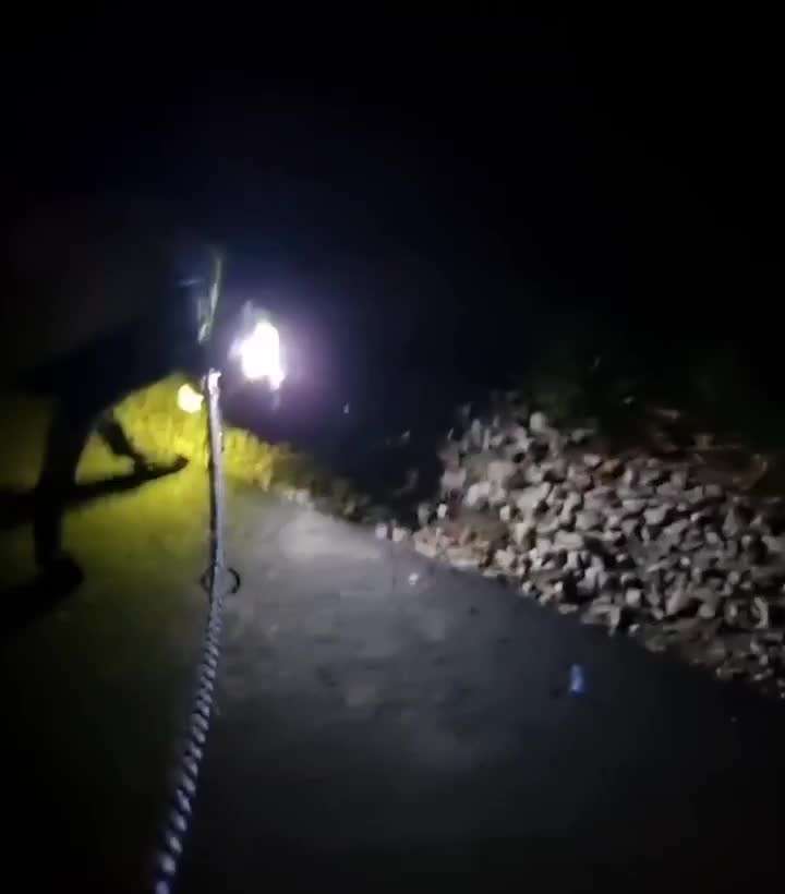 Leuchthalsband eure Meinungen!-Beitrag-Bild