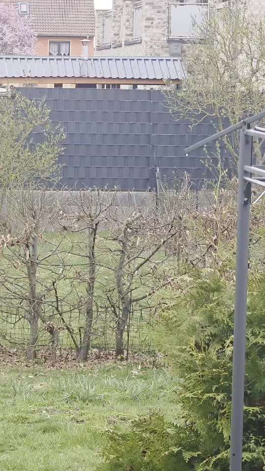 Was hat euch heute genervt?-Beitrag-Bild