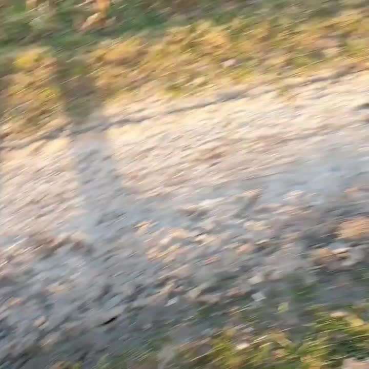 Erfolgsgeschichten gesucht-Beitrag-Bild