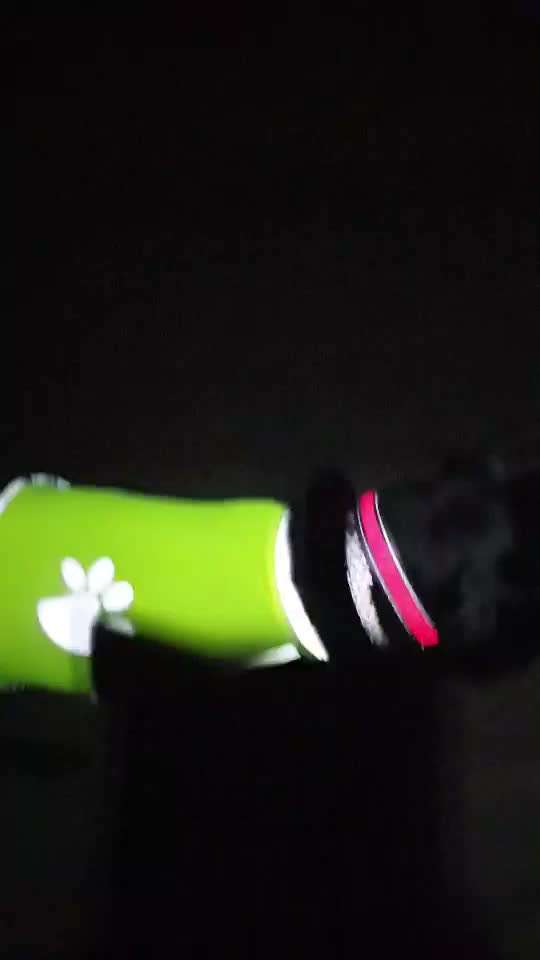 Beleuchtung im Herbst?-Beitrag-Bild