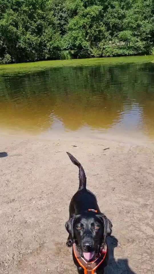 50. Video Challenge - Wasserscheu oder nicht-Beitrag-Bild